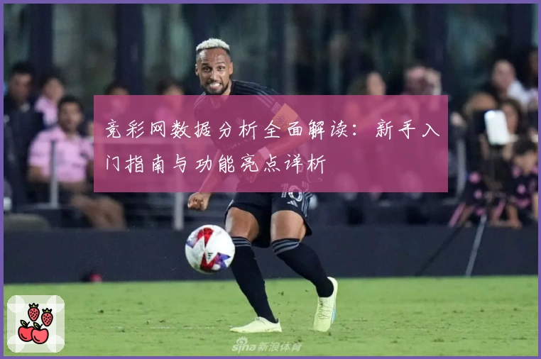 竞彩网数据分析全面解读：新手入门指南与功能亮点详析