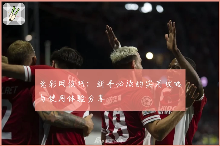 竞彩网技巧：新手必读的实用攻略与使用体验分享